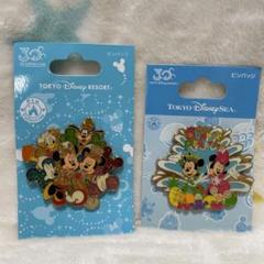 東京ディズニーリゾート30周年 歴代ミッキー ピンバッジコレクション 新品 ディズニー 30周年限定品 コレクタブルピンバッジ 歴代