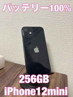 極上品！【バッテリー100%】iPhone12 Black 128GB バッテリー新品 iPhone12 128GB ブラック SIMフリー 完動品