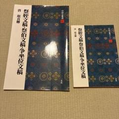 祭姪文稿・祭伯文稿・争坐位文稿 中国法書選 41 ガイド 2冊セット