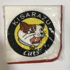 【未開封】木更津キャッツアイ WS 公式グッズ パーカー 2025年最新】木更津キャッツアイ グッズの人気アイテム - メルカリ