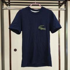 LACOSTE ヘリテージグラフィックステッチクルーネックTシャツ S/XS