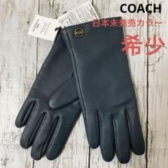 【新品未使用】【日本未発売色】 COACH  グローブ　レディース　スマホ対応 新品未使用】【日本未発売色】 COACH グローブ レディース