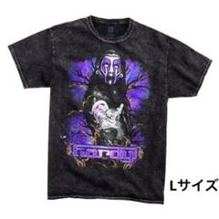 WWE　JAKKS　14インチ　JEFF　HARDY　ジェフハーディー ジェフ・ハーディー WWE Ultimate Edition 14 フィギュア