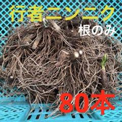2025年最新】行者 にんにくの人気アイテム - メルカリ