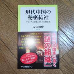 現代中国の秘密結社 マフィア、政党、カルトの興亡史のサムネイル