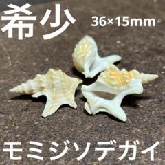 2025年最新】ソデガイの人気アイテム - メルカリ