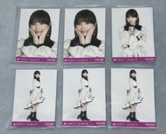 乃木コレ　スペシャル衣装40 ノーマル フルコンプ 乃木坂46 乃木コレ 生写真 スペシャル衣装40 ノーマル