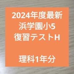 浜学園小5S 2025年最新】浜学園 復習テスト 小5の人気アイテム - メルカリ