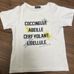 べべ　昆虫プリントTシャツ