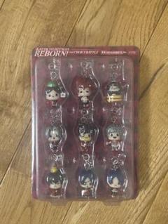 開封　家庭教師ヒットマンREBORN！ DVD全巻購入特典 天野明　未来