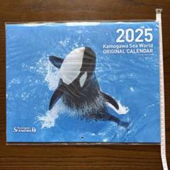 鴨川シーワールド パンフレット　中古 1990年代初期！鴨川シーワールド パンフレット 1冊 - メルカリ