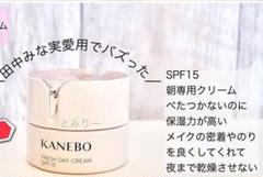 大人気Kanebo☆デイクリーム新品