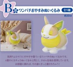 ワンパチ ぬいぐるみ 等身大 一番くじ プライズ まとめ売り ポケモン Amazon.co.jp: ポケモンセンターオリジナル ぬいぐるみ 等身大