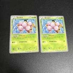 2025年最新】タマタマ ぞうしょくの人気アイテム - メルカリ