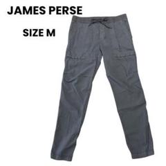 美品　ジェームスパース　パンツ 2025年最新】ジェームスパース パンツの人気アイテム - メルカリ