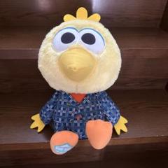 SHINee　ジョンヒョン　ぬいぐるみ SHINee ジョンヒョン ぬいぐるみ キラリチョン VIEW JONGHYUN｜さ行