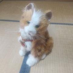 希少品】 夢ねこハート 動作確認済み - メルカリ
