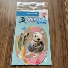 鳥羽水族館 ジュゴン セレナ セット カード レア アクスタ シール ステッカー 鳥羽水族館 ジュゴン セレナ セット カード レア アクスタ