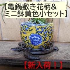 2025年最新】花柄 火鉢の人気アイテム - メルカリ