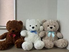 クマのぬいぐるみ（各１つ）