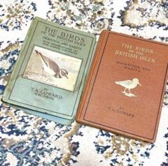 L335 洋書古書1920−30年代発行ドイツの可愛いアンティーク鳥図鑑