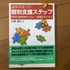 通常学級での個別支援ステップ : 特別支援教育をさらに一歩進めるために