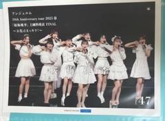 上國料萌衣モバガチャ桜梅桃李アクリルスタンドキーホルダーセット モバガチャ】アンジュルム 桜梅桃李 アクスタ - メルカリ