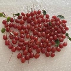 冷蔵　グミの実　5kg 貴重　無農薬　ジャム　茱萸 冷蔵グミの実5kg 貴重無農薬ジャム茱萸