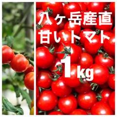 八ヶ岳(長野県) 産 ミニトマト 約1kg バラ 甘くて味が濃い 免疫力UPに