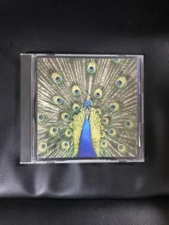 The bluetones『Expecting to Fly』アナログレコード Bluetones - Expecting to Fly - Amazon.com Music