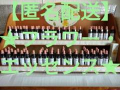 なな様ロックウォーター、ビーチ、ウィロー、ラーチ、セラトー