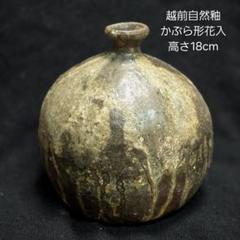 m28991489554_1.jpg?1722335226