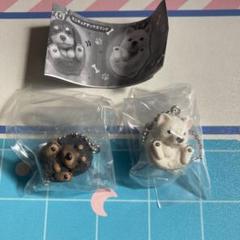 Amazon.co.jp: ♯Jsi20DJまんまるどうぶつまんまるいぬやんちゃ