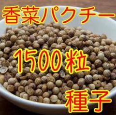 パクチー 1500粒 以上