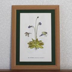 絵画 873/抽象画風/多肉植物/S4号 絵画 873/抽象画風/多肉植物/S4号