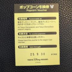 ディズニー　ポップコーン　引換券　17枚セット 2025年最新】ディズニー ポップコーン引換券の人気アイテム