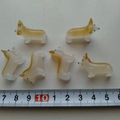昆虫標本】タイワンタガメ ガラスケース入り | Buyee 通販購入