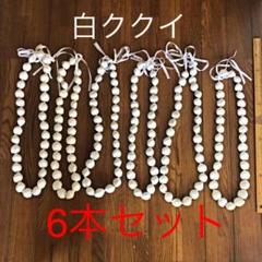 新品未使用 白ククイ6本セット