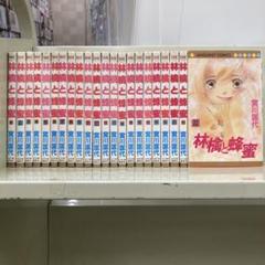 【漫画喫茶落ち】全巻 林檎と蜂蜜 全22巻セット　宮川匡代