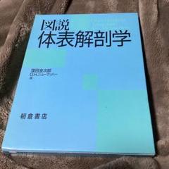 図説体表解剖学 外箱付き 本体美品 - メルカリ