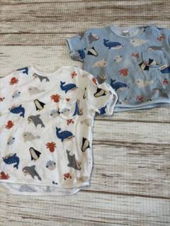 【セール中ベビー/キッズ】半袖Tシャツ　兄弟おそろい　90/120 フタフタ