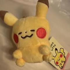 匿名発送❗　カナヘイ　ピカチュウ　ぬいぐるみ2種セット Yahoo!オークション - ポケモンセンター限定 2019年 カナヘイ