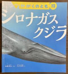 2025年最新】KUZIRA 廃盤の人気アイテム - メルカリ
