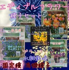 エディブルフラワー 専用種子 固定種 家庭菜園 野菜の種 水耕栽培種子 種 種子