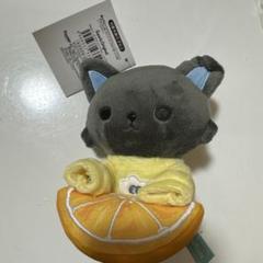 2025年最新】jochum ぬいぐるみ ピーハイの人気アイテム - メルカリ