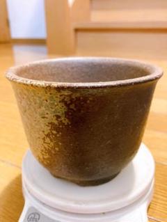 有馬和博 植木鉢 作家鉢 美中古 グラキリス　塊根植物 2025年最新】グラキリス 鉢の人気アイテム - メルカリ