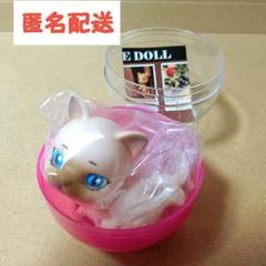 (H)スウェーデンドール・シャム猫くん ブランケット おまとめ カプセルドール シャム猫 - メルカリ