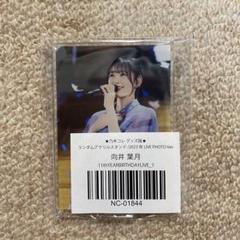 2025年最新】向井葉月 アクスタの人気アイテム - メルカリ