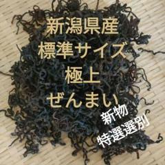 新潟県産　乾燥ぜんまい1キロ 新潟直送計画】新潟県産 乾燥ゼンマイ – 企画販売 難波