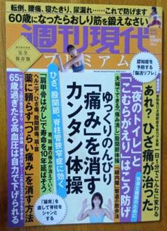 週刊現代別冊 週刊現代プレミアム 2022 Vol.4 ひざ、股関節、脊柱管狭…のサムネイル